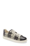 Tory Burch Howell Sneaker In Black/ White