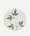 Astier De Villatte Drachocephalum Plate In White