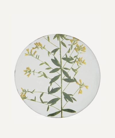 Astier De Villatte Genista Plate In White