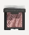 Chantecaille Luminescent Eye Shade Eyeshadow In Pangolin