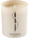 ESTEBAN CEDRE SCENTED VEGETABLE-WAX CANDLE,88371375