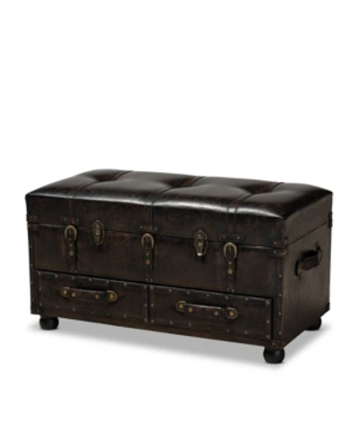 Furniture Callum Modern Transitional Upholstered 2 Drawer Storage Trunk Ottoman In Brown