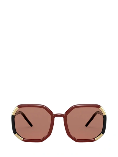 Prada Pr 20xs Brown Female Sunglasses In Dark Brown