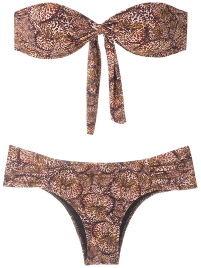 Isolda Borakay Printed Bandeau Bikini Set In Multicolour