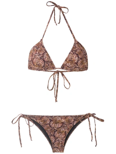 Isolda Borakay Tie Bikini Set In Brown
