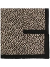 Destin Judy Leopard-print Knitted Scarf In Black