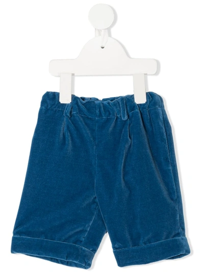 Siola Babies' Knee-length Velvet Shorts In 蓝色