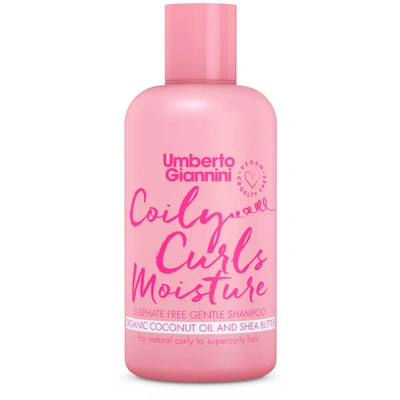 Umberto Giannini Coily Curls Shampoo 250ml