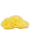 Hydréa London The Natural Sea Sponge Company - Fina Silk Sea Sponge (approx 3 Inches)