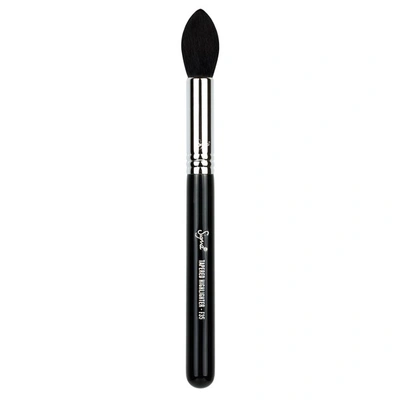 SIGMA F35  TAPERED HIGHLIGHTER BRUSH,F35-1