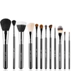 SIGMA ESSENTIAL BRUSH KIT (WORTH $228),CK001