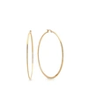 Steeltime 18k Gold Plated Stainless Steel Hoop Earrings In Gold-plated