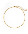 Brook & York Emma Box Chain Choker In Gold