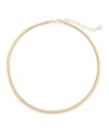 Brook & York Izzy Herringbone Chain Choker In Gold Plated