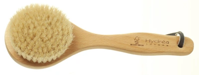 Hydréa London Classic Short Handled Body Brush With Natural Bristle (medium Strength)