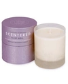 Scentered Sleep Well Home Aromatherapy Candle, 7.8 Oz.