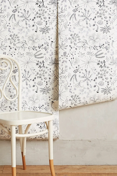 York Wallcoverings Anthropologie Meadowfield Wallpaper In Black