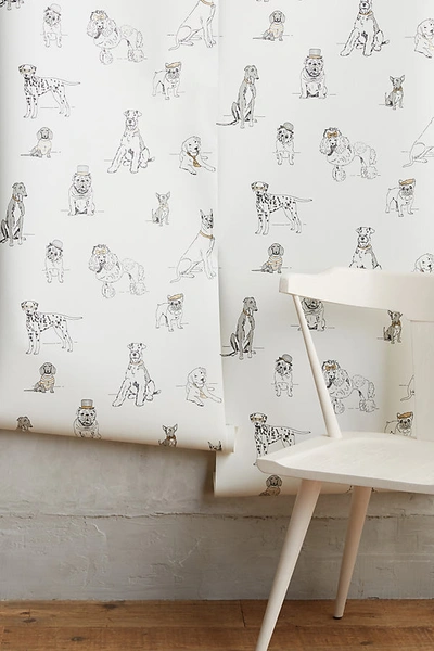 York Wallcoverings Dog's Life Silver And Gold Metallic Animal Wallpaper In Black