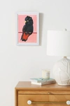 Artfully Walls Red-tailed Black Cockatoo Wall Art In White