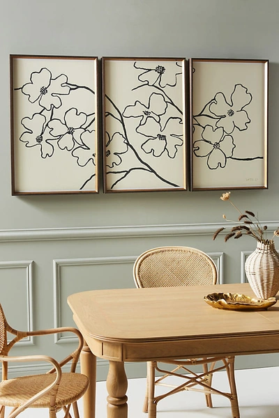 Susan Hable For Soicher Marin Dogwood Triptych Wall Art In Black