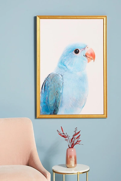 Artfully Walls Blue Parrot Wall Art