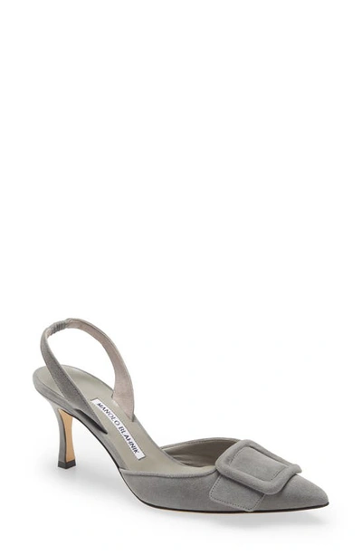 Manolo Blahnik Maysli Buckle Slingback Pointed Toe Pump In Dark Grey