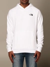 THE NORTH FACE SWEATSHIRT WITH HOOD AND PRINT,11567861