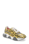 VERSACE SQUALO BAROCCO SNEAKER,YHX00029YB00376