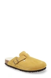 BIRKENSTOCK BOSTON GENUINE SHEARLING LINED CLOG,1006409