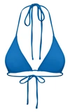 Aexae Women's Tyra Bikini Top In Blue,brown