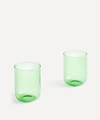 HAY TINT TUMBLERS SET OF TWO,000631614