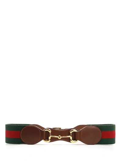 Gucci Elastic Web Belt With Horsebit In Brown