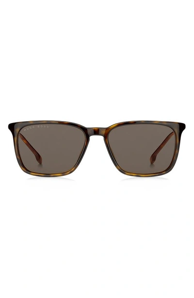 Hugo Boss 56mm Rectangular Sunglasses In Dark Havana/ Brown