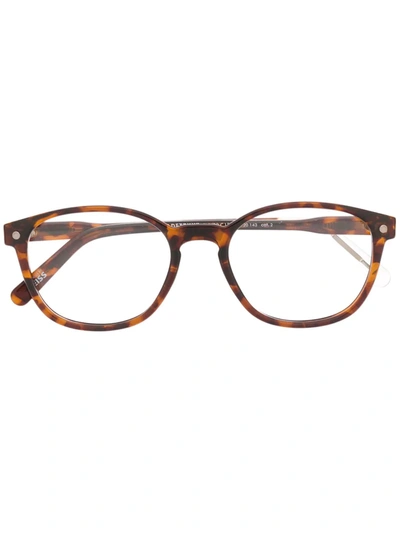 Snob Radetsky Round-frame Glasses In Brown