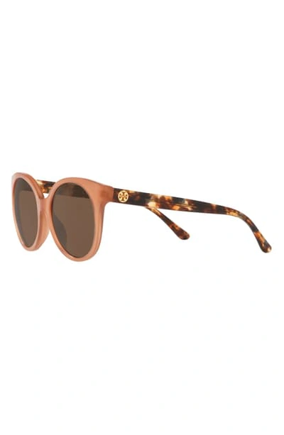 Tory Burch 53mm Cat Eye Sunglasses In Rose/ Tort/ Brown