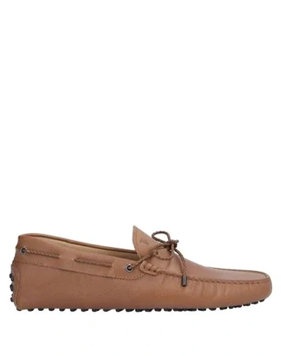 Tod's Loafers In Brown