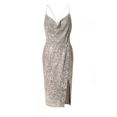 Aggi Dress Kim Champagne In Silver