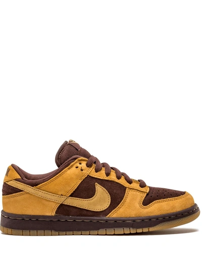 Nike Dunk Low Pro Sb Sneakers In Brown