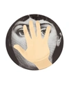 Fornasetti Plate In Black