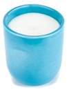 HOLIDAY AMBOISE 376 SCENTED CANDLE