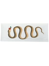 Fornasetti Serpente Serving Tray (40cm) In White