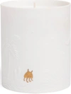 L'objet Haas Mojave Palm Candle In White