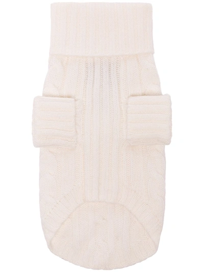 Polo Ralph Lauren Cable Knit Dog Jumper In White