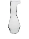 Nude Beak Water Decanter (29cm) In Neutrals