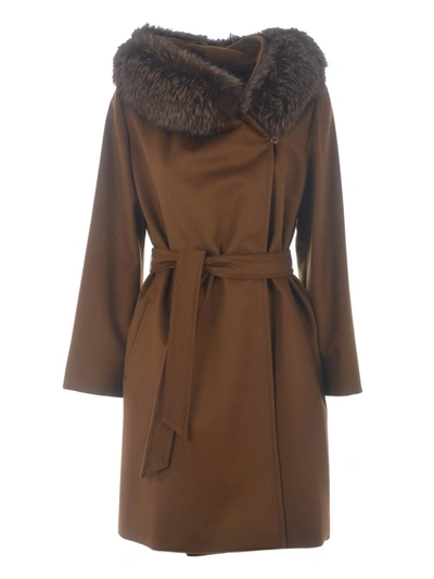 Max Mara Coat In Marrone