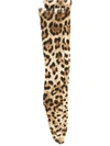 Dolce & Gabbana Leopard Print Tights In Tulle In Neutrals