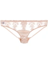 Fleur Of England Dahlia Briefs In Pink