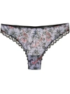 Dolci Follie Zebra Brazilian Briefs In Black