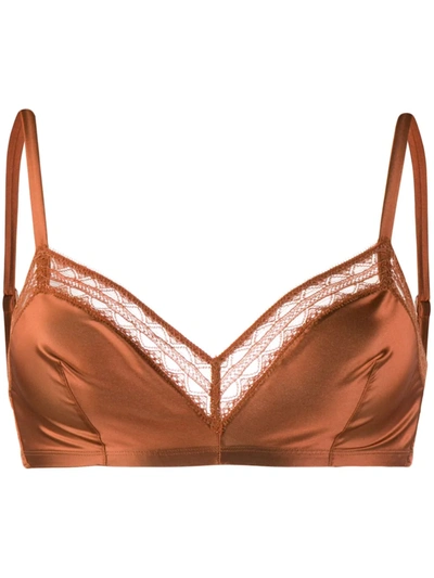 Eres Cornely Triangle Bra In Brown
