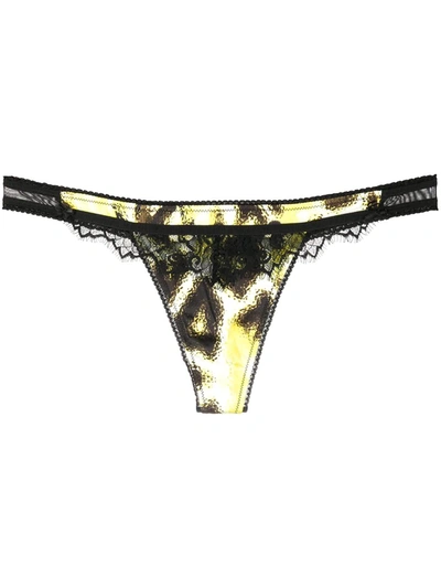 Just Cavalli Animal Print Lace Trim Thong In Yellow